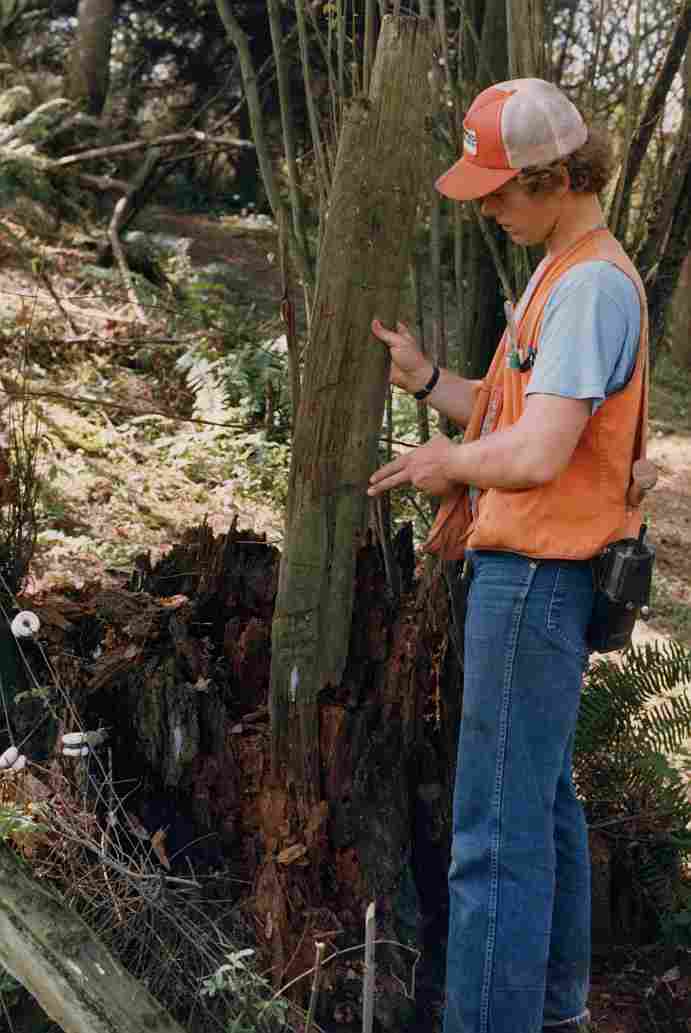Kurt Stonex examining evidence in 1985